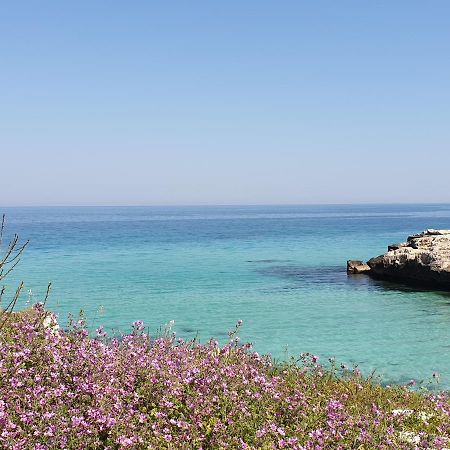 Casa Di Nonna Maria Leilighet Monopoli Eksteriør bilde